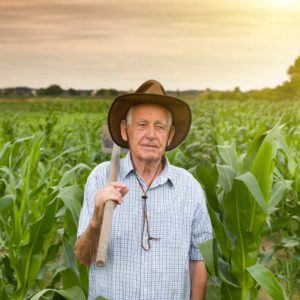 Farmer in Corn Field | Missouri Syngenta Lawsuit