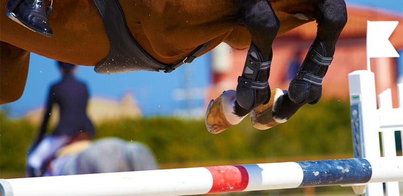 Horse Jumping | Traumatic Head Injury